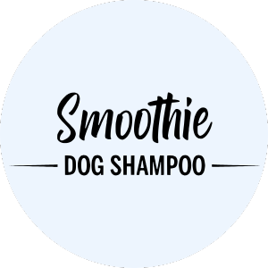 SMOOTHIE 300 x 300