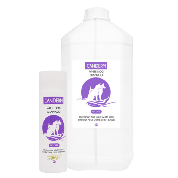 CANIDERM SHAMPOOING WHITE DOG