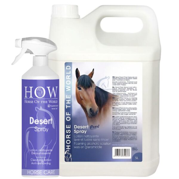 HOW SPRAY DESERT