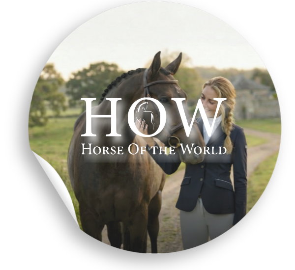 A PROPOS HORSE OF THE WORLD