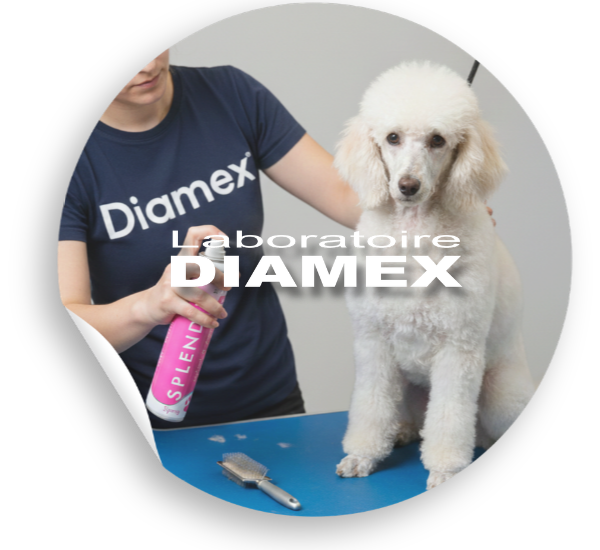 A PROPOS LABORATOIRE DIAMEX