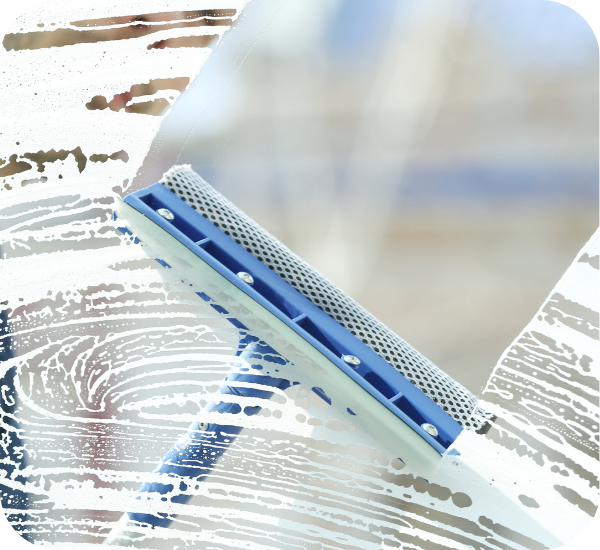 BIOCLEAN IMAGE 2 4