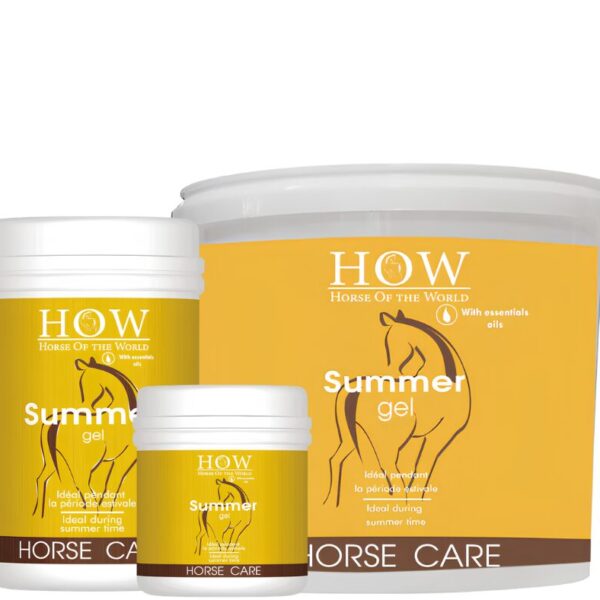 HOW SUMMER GEL