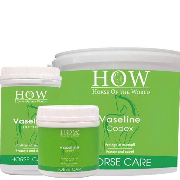 HOW VASELINE CODEX