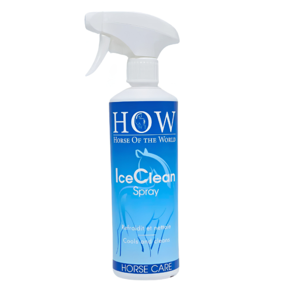 HOW SPRAY ICE CLEAN 500ML