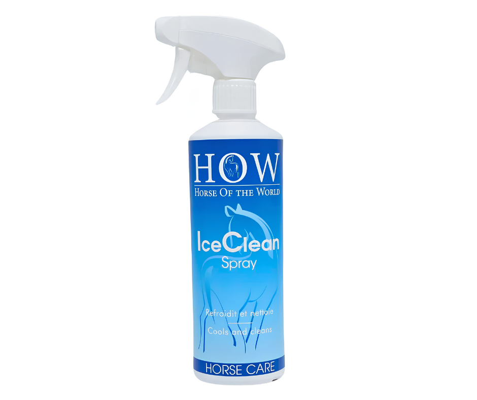 HOW SPRAY ICE CLEAN 500ML