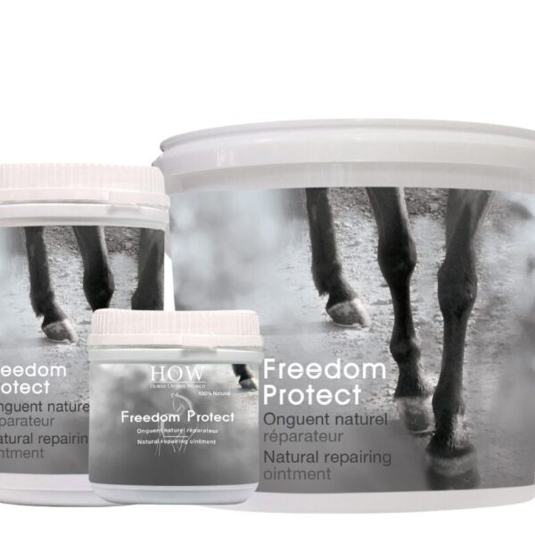 HOW GRAISSE FREEDOM PROTECT